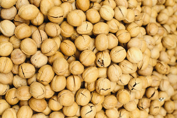 Walnut texture on the market