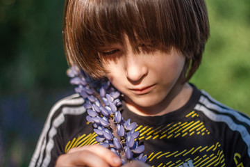 A boy with long hair standing among lupins in the rays of the sun.