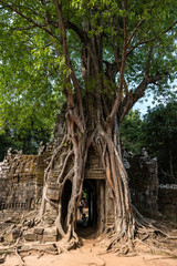 Fototapeta premium Ta Som temple in Angkor Wat complex, Cambodia, Asia