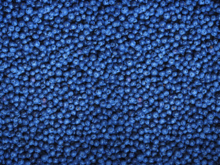 Surface is covered with a thick layer of blueberries, moorland harvest. Natural  background. Vaccinium uliginosum (bog bilberry, bog blueberry, northern bilberry or western blueberry)