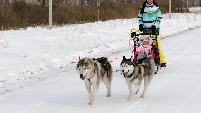 Woman and child in dog sled