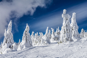 Beautiful scenery of the snowy winter landscape. View from Kubinska hola mountain in Slovakia, Europe. © Viliam