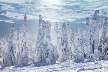 Beautiful scenery of the snowy winter landscape. View from Kubinska hola mountain in Slovakia, Europe. © Viliam