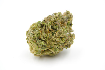 Gorilla Glue #4