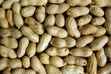 Monkey Nuts, Peanuts in their Shells