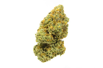 Lemon Tree