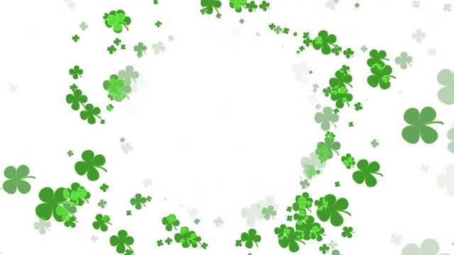 St Patrick Day Green Clover moving towards camera on white background with copy space 