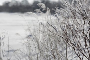 Obraz premium 春雪の川