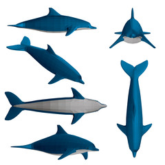 Set with dolphin © German Ovchinnikov