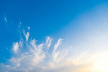 Soft white cloud and blue sky background