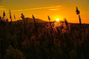 Sol y atardecer