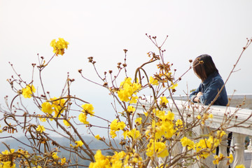 happy young woman looking into in winter outdoor