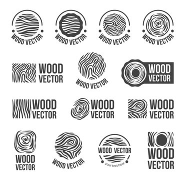 Vector Hand drawn sketch of abstract wood texture illustration on white background