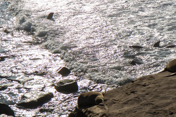 La Jolla Cove 