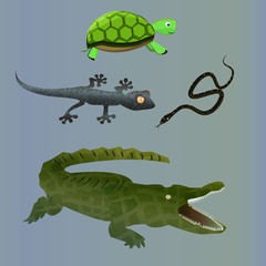 reptile animals vector set