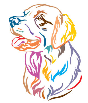 Colorful decorative portrait of Dog Golden Retriever vector illustration