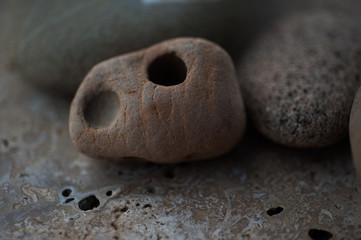 Beach Stones And Sea Shells 