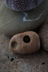 Beach Stones And Sea Shells 