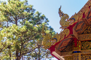 Fototapeta na wymiar Beautiful golden naga sculptures on the church roof under the blue sky background at Wat Phra That Doi Tung, one of which is believed to contain the left collarbone of Lord Buddha.