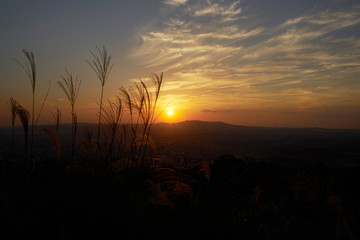 Obraz premium 奈良公園若草山からの夕景