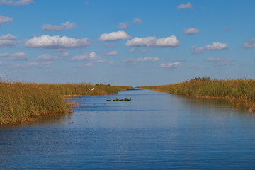 Everglades National Park, Florida USA