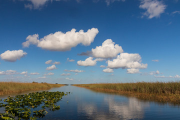 Fototapeta premium Everglades National Park, Florida USA