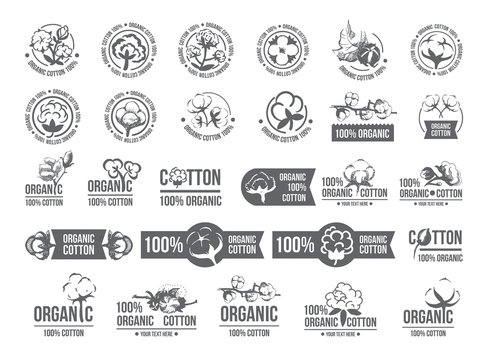 Natural organic cotton, pure cotton vector labels set. Hand drawn, typographic style icons or badges, stickers, signs. Isolated white background