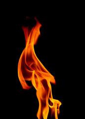 Close Up of Burning Flames on a Black Background