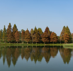 Reflection over calm water