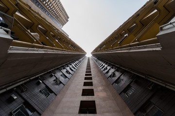 Obraz premium Looking up perspective