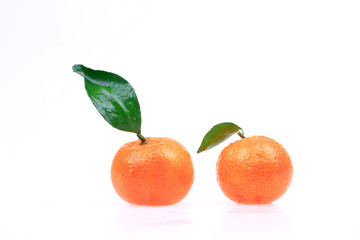 Fresh oranges on a white background