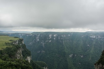 C&acirc;nions Sul do Brasil