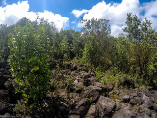 Fototapeta premium Costa Rica Arenal Area and Volcano
