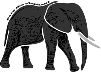 Fototapeta premium Save the elephant