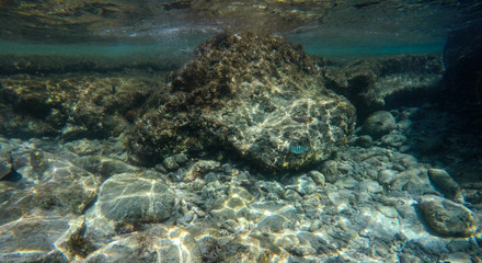 Curacao Cas Abou Beach