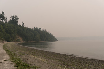 Sunset on a Beach with Fog