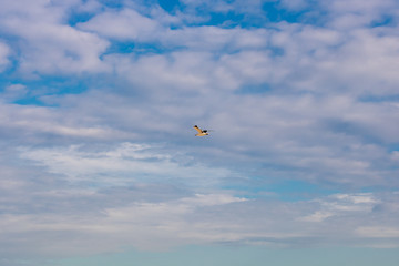 Seagull flying in the blue gradient sky