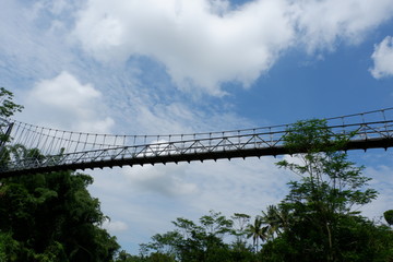 Obraz premium walk on the suspension bridge