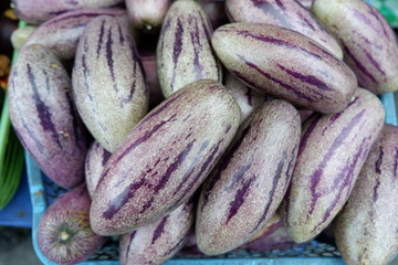 Fresh melodies are ready for consumption