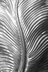 Photo background with macro glass art tree leaf