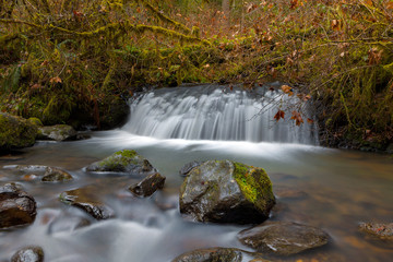 Waterfall at McDowell Creek Falls County Park