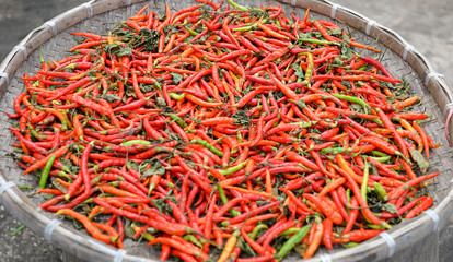 Naklejka premium Dried red chili pepper to sun dry chilli on threshing basket background