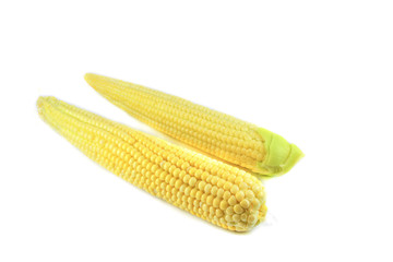 Close up of young baby sweet corn ear in fresh corn cob isolated on white background