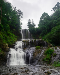 Obraz premium Waterfall in the forest