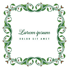 Vector illustration lettering lorem ipsum with frame flower white backdrop hand drawn