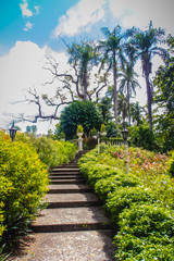 Green summer public park garden with stairs step to blue sky in the cloudy day. Beautiful day light in public park with staircase and fresh tree.