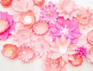 Flower made of paper white background. Trend color pastel coral.