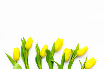 Spring flowers. Yellow tulips on white background top view copy space border