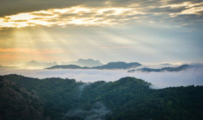 Morning scene sunrise landscape  beautiful on hill with fog misty cover forest and mountain