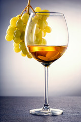 Grapes and white wine glass. Tasting wine concept.